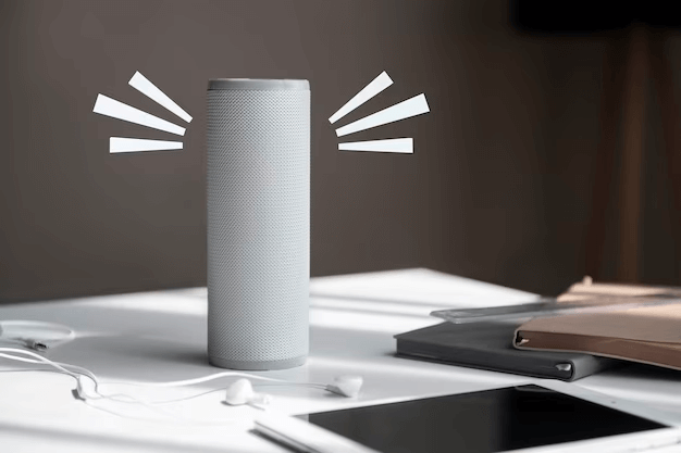You can connect your speaker through both Wi-fi and Bluetooth 