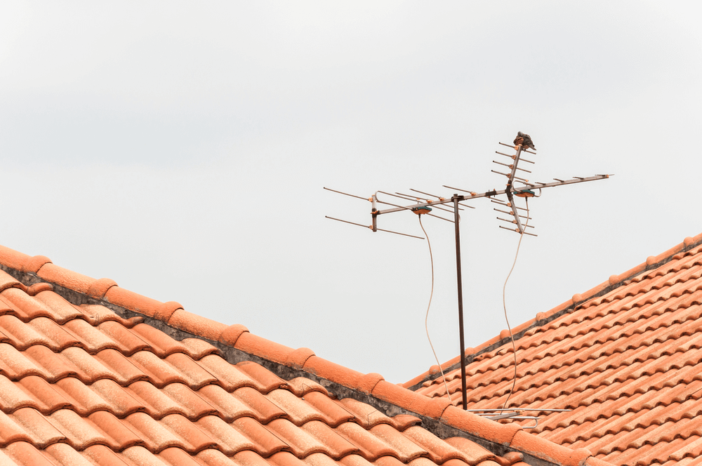 It is safe to use the antenna to destroy the speaker remotely