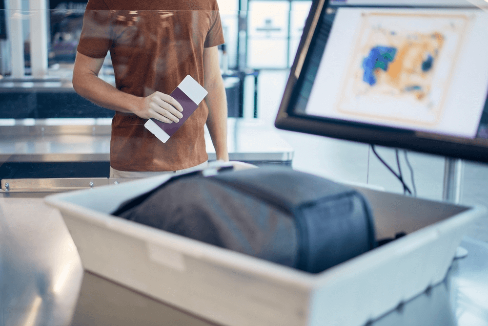 Understand the TSA regulations