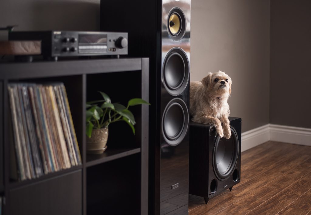 Reasons Your Subwoofer Keeps Cutting Out at High Volumes